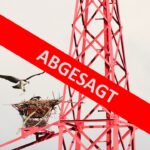 ABGESAGT-Vortrag: Adlerland NRW: Ansiedlung von Seeadler und Fischadler